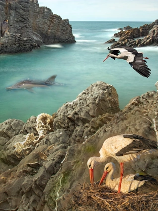 葡萄牙奇境英语版中字版