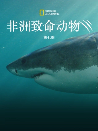 非洲致命动物 7