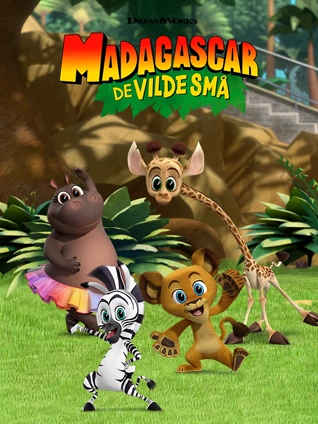 马达加斯加 小小冒险
