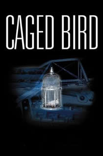 亚洲中文av一区二区三区