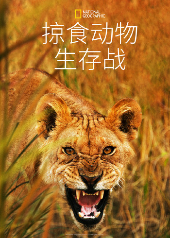 掠食动物生存战 1